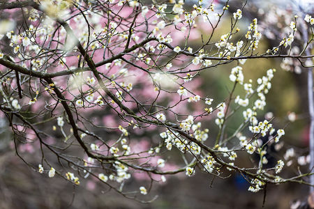 菲娱平台：《亲爱的新年好》白百何鼓励不怂的女孩